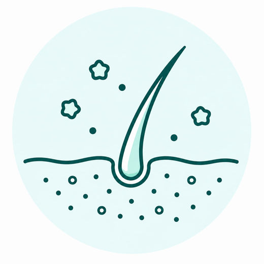 Dandruff & Scalp Care